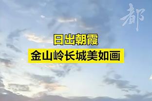 那天南野拓实的生日，菲尔米诺太够哥们了！